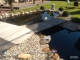 Thumbnail Gartenteich + Brücke 